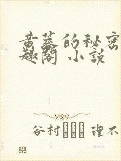 黄蓉的秘密 笔趣阁 小说封面