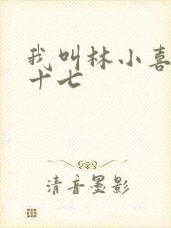 我叫林小喜今年十七