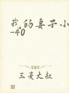我的妻子小谨1-40封面