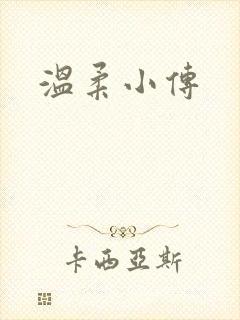 温柔小传