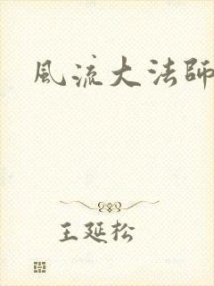 风流大法师封面