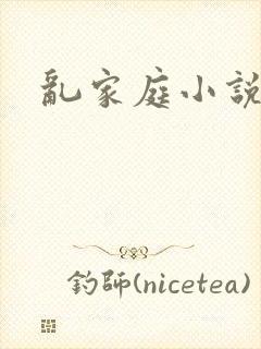 乱家庭小说