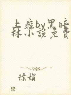 上瘾by黑暗森林小说免费封面