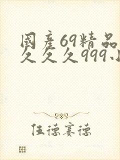 国产69精品久久久久999小说封面