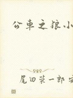 公车之狼小说
