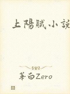 上阳赋小说