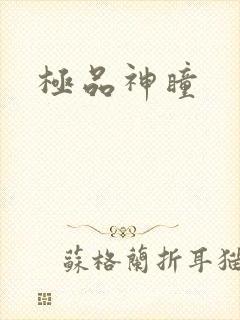 极品神瞳