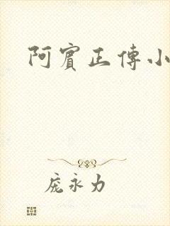 阿宾正传小说