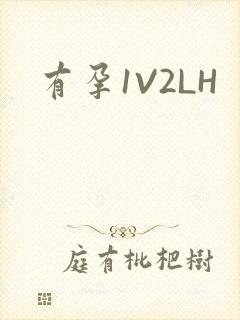 有孕1V2LH