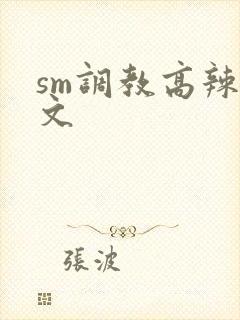 sm调教高辣h文封面