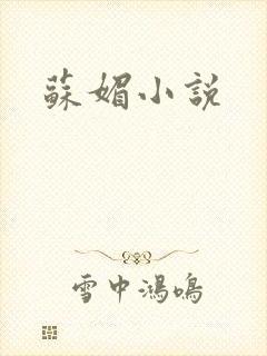 苏媚小说封面