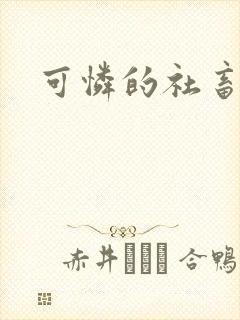 可怜的社畜小说