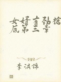 女婿有劲枪枪到底第三章封面