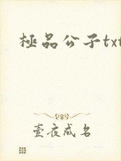 极品公子txt