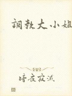调教大小姐