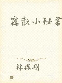 窃欢小秘书