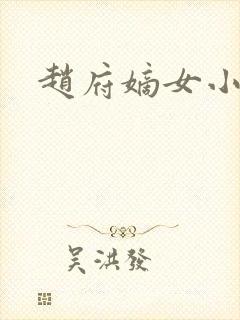 赵府嫡女小说