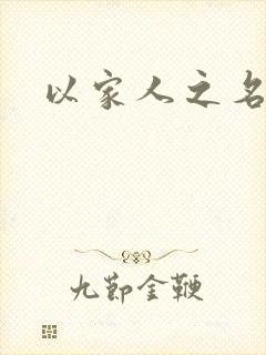 以家人之名小说