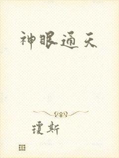 神眼通天封面