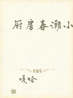 厨房春潮小说