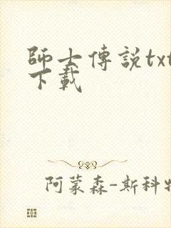 师士传说txt下载