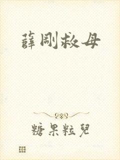 薛刚救母