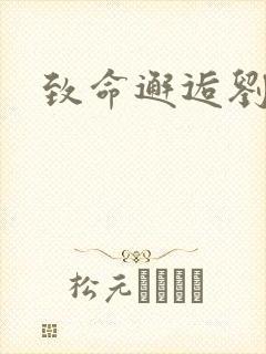 致命邂逅刘小寐