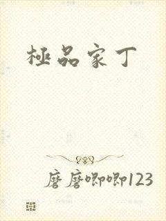 极品家丁