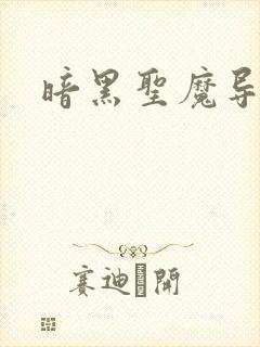 暗黑圣魔导封面