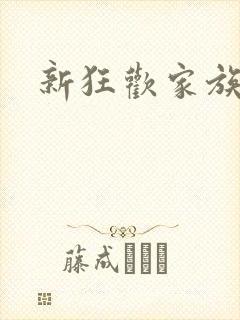 新狂欢家族小说封面