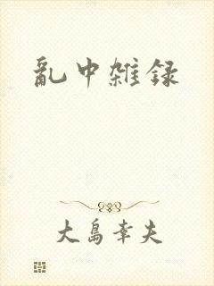 乱中杂录封面