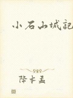 小石山城记封面