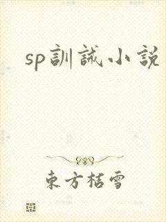 sp训诫小说