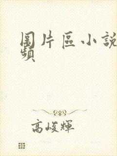 图片区小说区视频