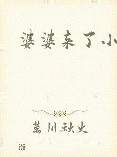 婆婆来了小说