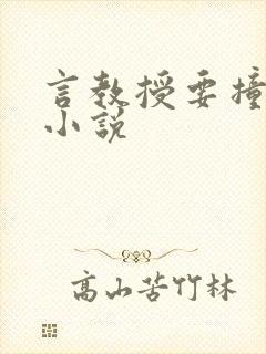 言教授要撞坏了小说封面