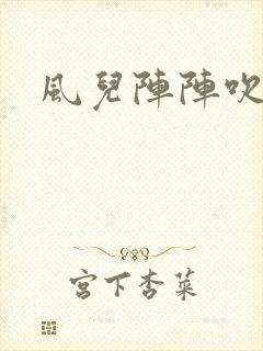 风儿阵阵吹