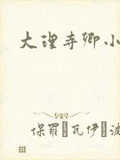 大理寺卿小说