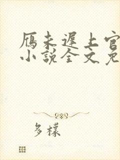 雁未迟上官穿越小说全文免费阅读封面