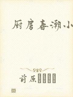 厨房春潮小说