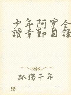 少年阿宾全文阅读章节目录