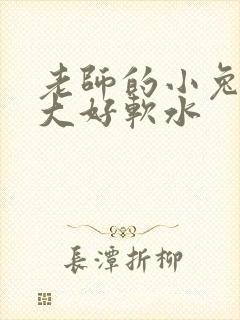 老师的小兔子好大好软水