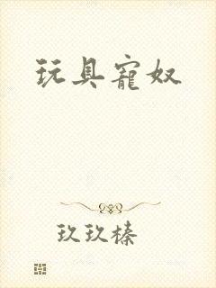 玩具宠奴