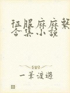征服麻麻系列大合集小说