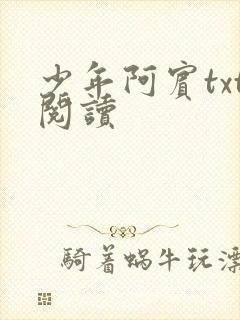 少年阿宾txt阅读