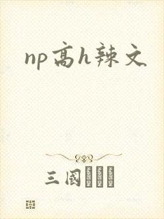 np高h辣文