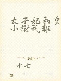 太子妃和皇上在小树我离封面