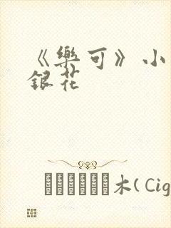 《乐可》小说金银花