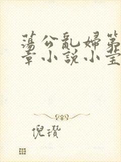 荡公乱妇第51章小说小莹