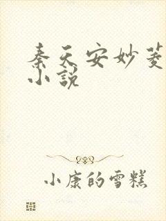 秦天安妙菱修仙小说